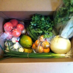 Fresh Aloha Direct - Mr. Cobb produce box
