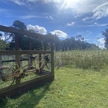 Sweetfields Farm - Farmers Market Near Me - Masaryktown, Florida