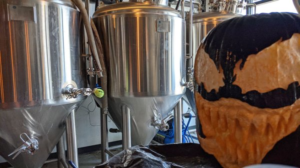 Local Oak Brewing Co. by null