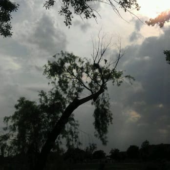 Crenshaw Park - Parks Near Me - Pasadena, Texas