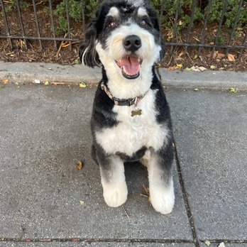 Doggy Style - Pet Stores Near Me - Washington, DC, District of Columbia