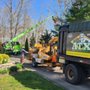 Affordable Tree Experts