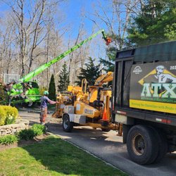 Affordable Tree Experts