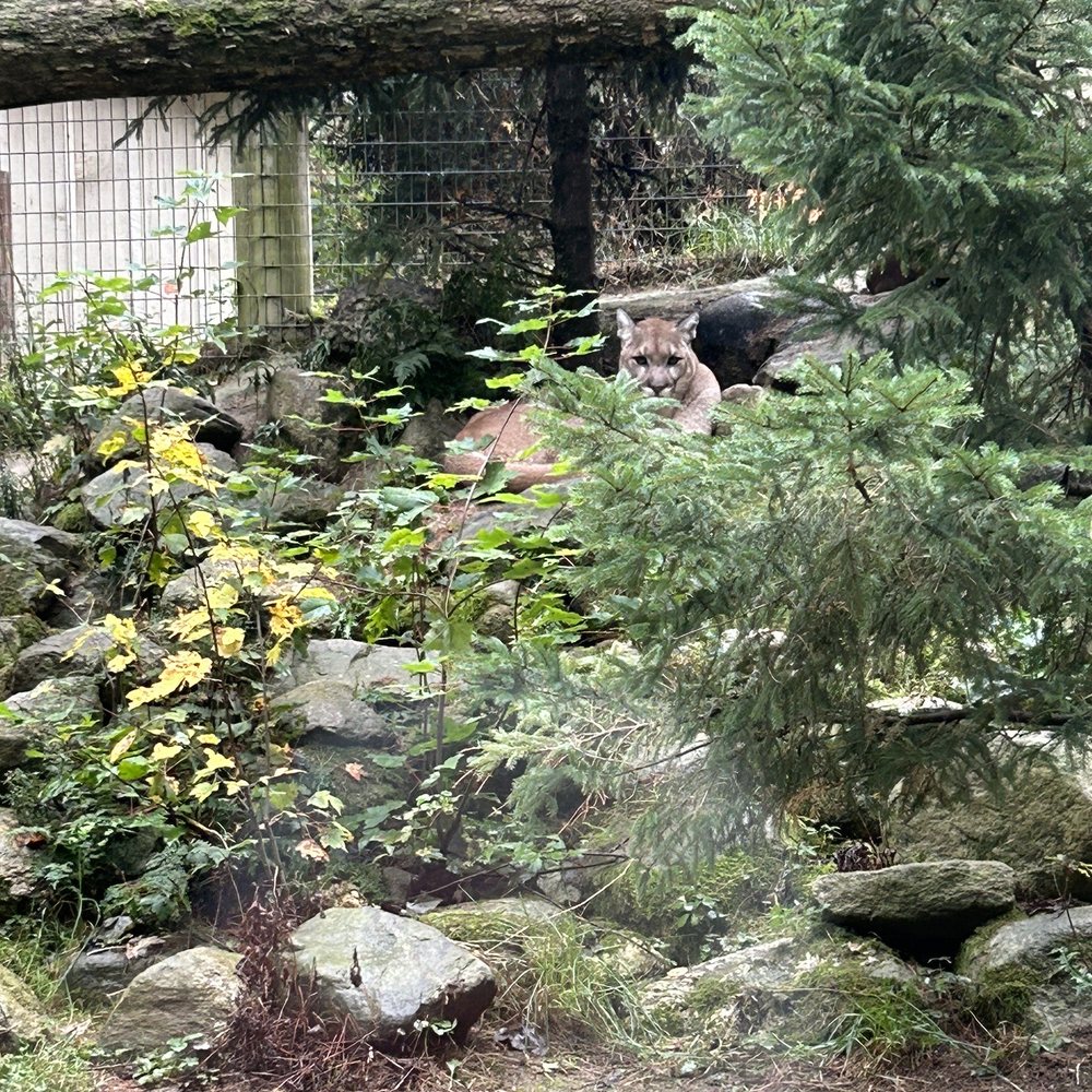 Maine Wildlife Park - Zoos Near Me - Gray, Maine Maine Wildlife Park - Zoos Near Me - Gray, Maine