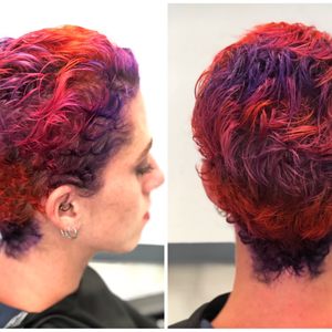Wild Hairz Cutz For Kidz 120 Photos 195 Reviews Hair Salons