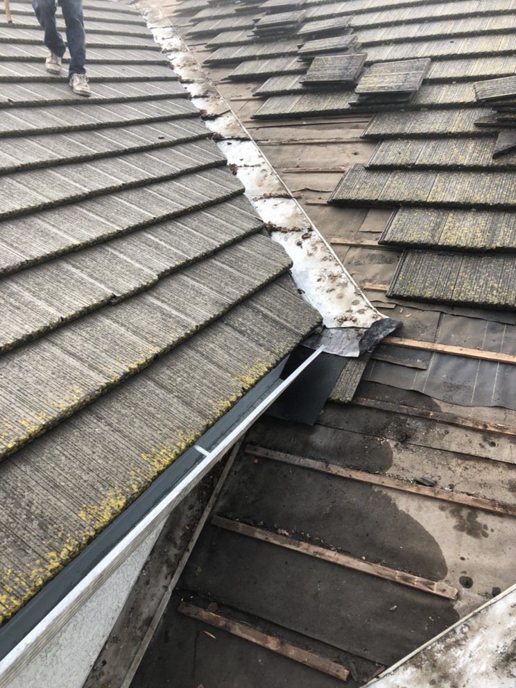 Slide of Rescue Roofer