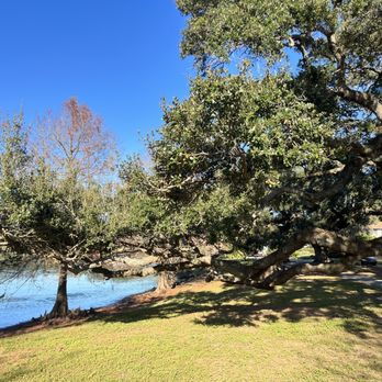 Lake Davis Park - Lakes Near Me - Orlando, Florida