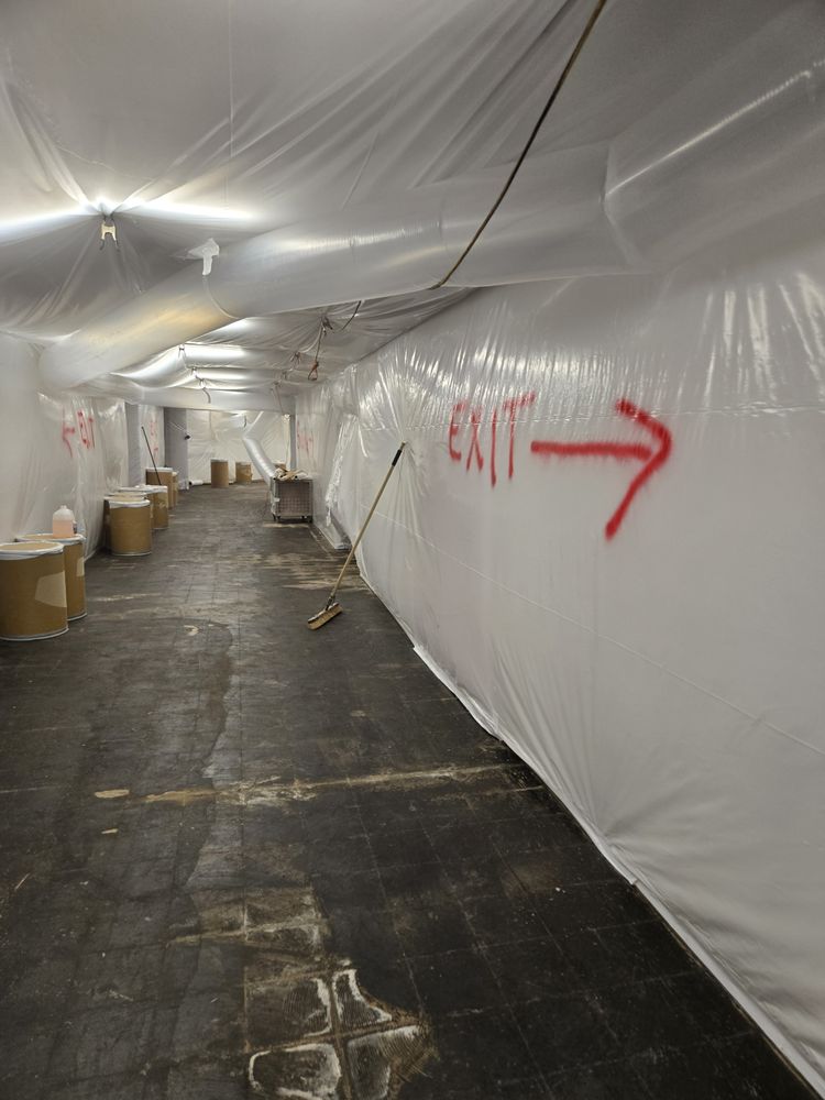 Carey Ebanks Environmental Group - mold inspector in Schaumburg, IL