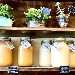Time Traveler’s Bakery - Local honey