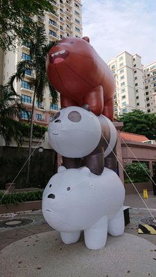 Photo of Anchorpoint - Singapore, SG, SG. Don't fly away!