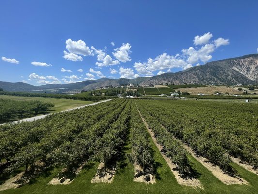 Blueberry Hills Farm by null