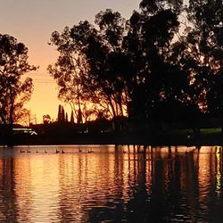 Tri-City Park - Tri city park sunset
