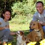 Photo of Athens Pet Sitter