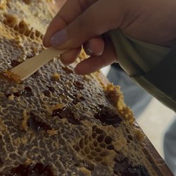 Astor Apiaries