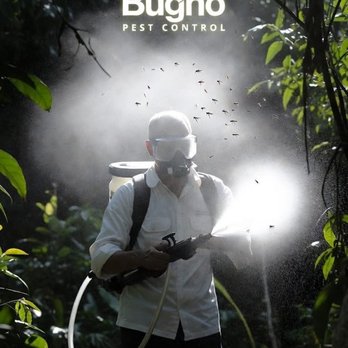 Bugno Pest Control - Mosquito treatment - Pest Control Near Me - Wilmington, North Carolina Bugno Pest Control - Mosquito treatment - Pest Control Near Me - Wilmington, North Carolina