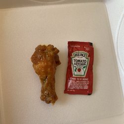 Tiny wings