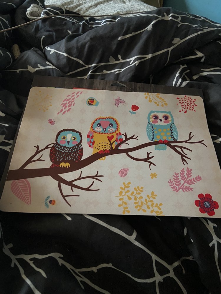 MEIKA’S BIRD HOUSE Updated September 2024 971a Ordze Road, Sherwood Park, Alberta Pet