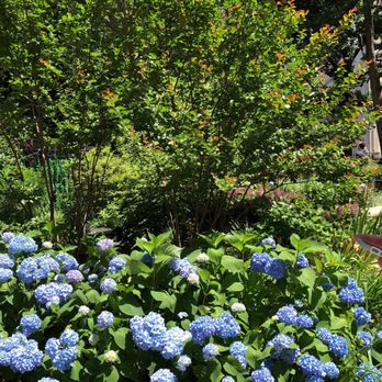 Madison Square Park - Parks Near Me - New York, New York Madison Square Park - Parks Near Me - New York, New York