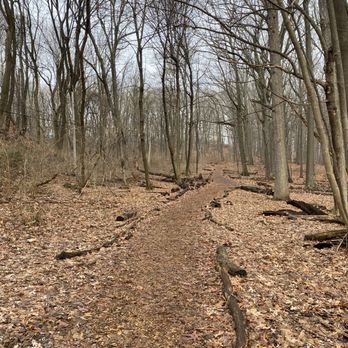 Washington Grove - Hiking Near Me - Rochester, New York