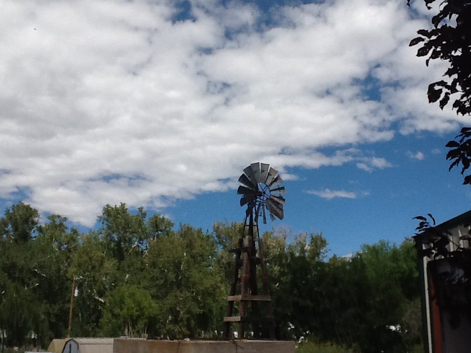 Animas Creek Honey and Herb Farm Logo
