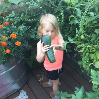 Dan the Aquaman - Irrigation Near Me