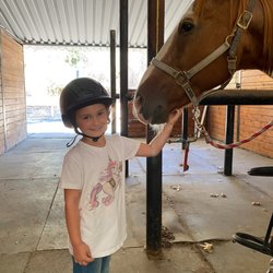 Horse Connections