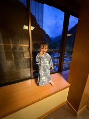 Nishiyama Onsen Keiunkan by null