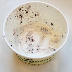 Van Leeuwen Ice Cream - All gone! LOL