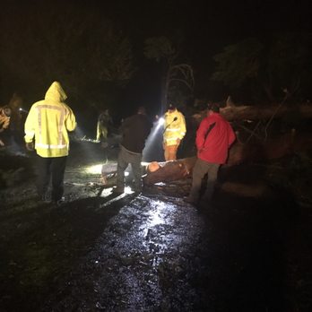 Suarez Tree Service - Immediate response to help L.A Co FD, in Rolling Hills..we cleared the road asap. - Tree Services Near Me Suarez Tree Service - Immediate response to help L.A Co FD, in Rolling Hills..we cleared the road asap. - Tree Services Near Me