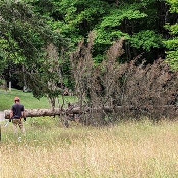 Hoover's Professional Tree Service - Down so fast, Patrick missed it! - Tree Services Near Me - Marquette, Michigan Hoover's Professional Tree Service - Down so fast, Patrick missed it! - Tree Services Near Me - Marquette, Michigan