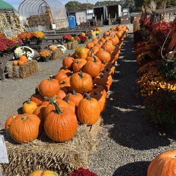 Fair Weather Acres - Farmers Market Near Me - Rocky Hill, Connecticut Fair Weather Acres - Farmers Market Near Me - Rocky Hill, Connecticut