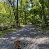 Wissahickon Park gift card