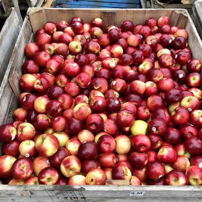 Bauman Family Apple Butter by null