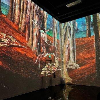 Immersive Frida Kahlo - Art Galleries Near Me - Denver, Colorado Immersive Frida Kahlo - Art Galleries Near Me - Denver, Colorado