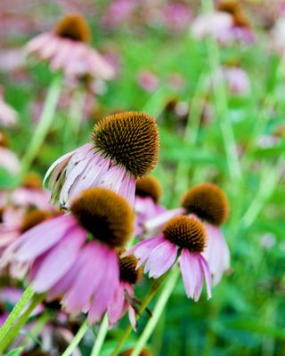 Indiana Dunes Visitor Center by null