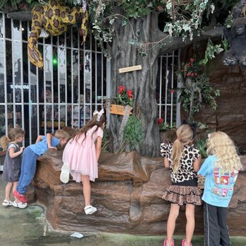 Rainforest Cafe - American Near Me - Sunrise, Florida Rainforest Cafe - American Near Me - Sunrise, Florida