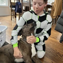 Nuzzles Adoption Center - We have been giving breaks to dogs who have been in Nuzzles too long. Bowie loves everyone and all animals!!!