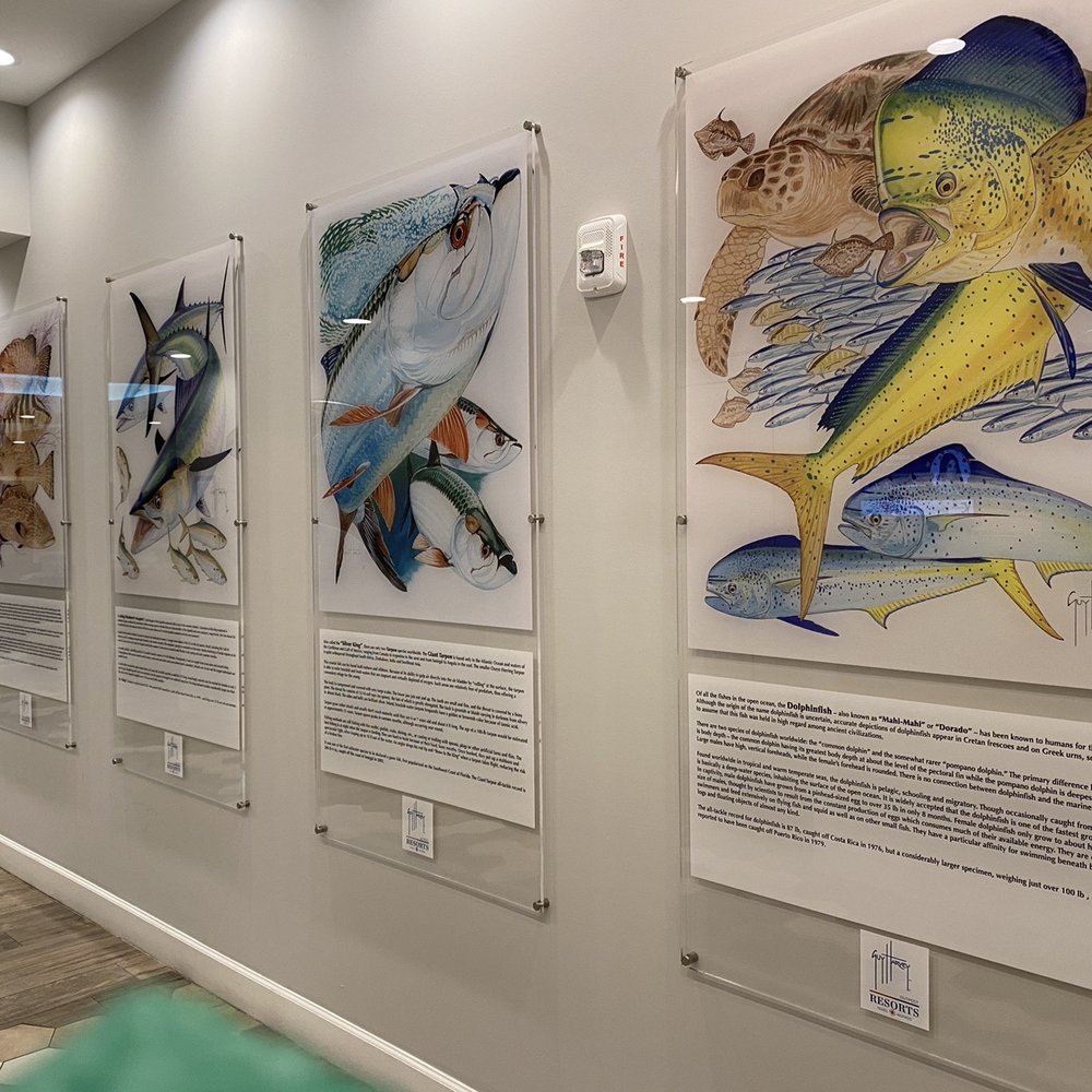 Guy Harvey Resort St Augustine Beach - Great display - Resorts Near Me - Saint Augustine Beach, Florida Guy Harvey Resort St Augustine Beach - Great display - Resorts Near Me - Saint Augustine Beach, Florida