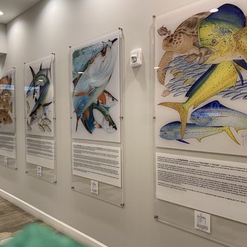 Guy Harvey Resort St Augustine Beach - Great display - Resorts Near Me - Saint Augustine Beach, Florida