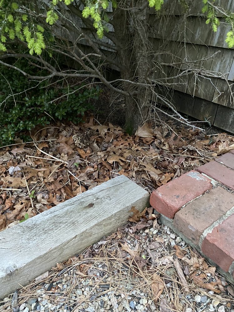 CAPE COD OCEANVIEW REALTY Updated August 2024 17 Photos 1580 Rte