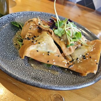 The Fat Duck Gastropub - Jackfruit wantons - Gastropubs Near Me - Te Anau, STL