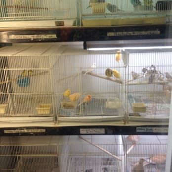 CD Aquarium - Birds - Pet Stores Near Me - San Jose, California CD Aquarium - Birds - Pet Stores Near Me - San Jose, California