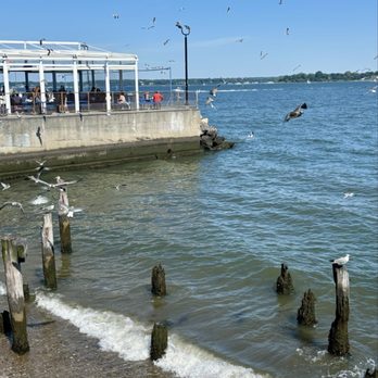 Tony's Pier - Seafood Near Me - Bronx, New York Tony's Pier - Seafood Near Me - Bronx, New York