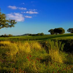 The Buckhorn Golf Course