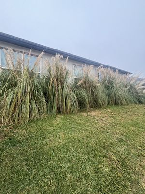 Squared Away Maintenance