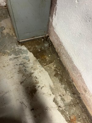 Basement Leak - Installation of basement waterproofing system with a sump pump to discharge any water intrusion. Basement Leak - Installation of basement waterproofing system with a sump pump to discharge any water intrusion.