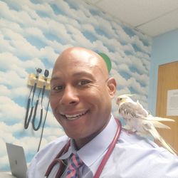 Vance Family Medicine - Meet Ernie, the emotional support bird.
