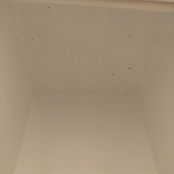 Mashcole Property Management - Mold in shower - Property Management Near Me - Calabasas, California Mashcole Property Management - Mold in shower - Property Management Near Me - Calabasas, California