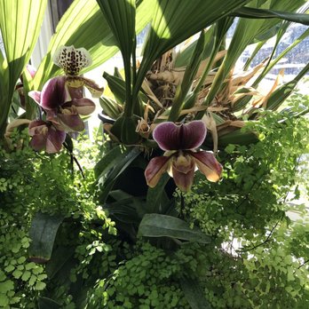 Volunteer Park Conservatory - Parks Near Me - Seattle, Washington