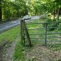 Fran Reese Audubon Sanctuary - Looking at County Route 28.